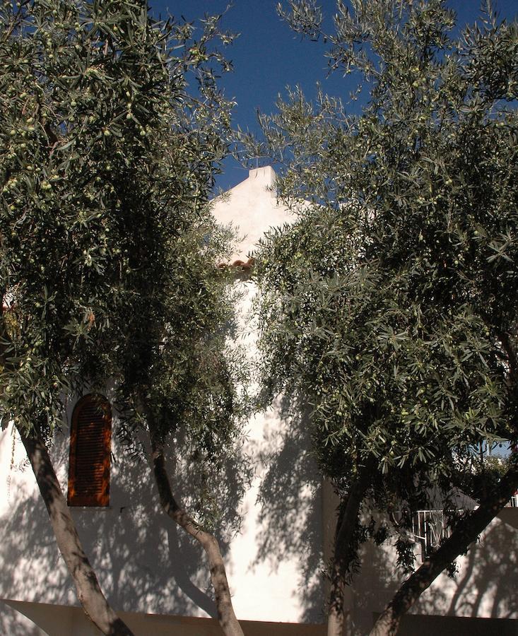 Residence Villa Tina Forio di Ischia Exteriér fotografie